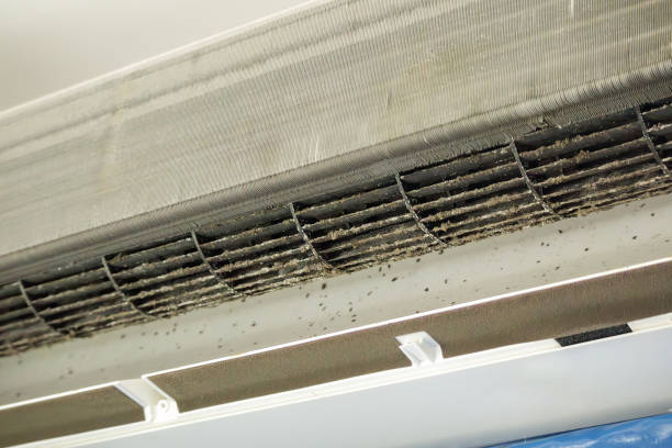Best Affordable HVAC Duct Cleaning  in Leechburg, PA